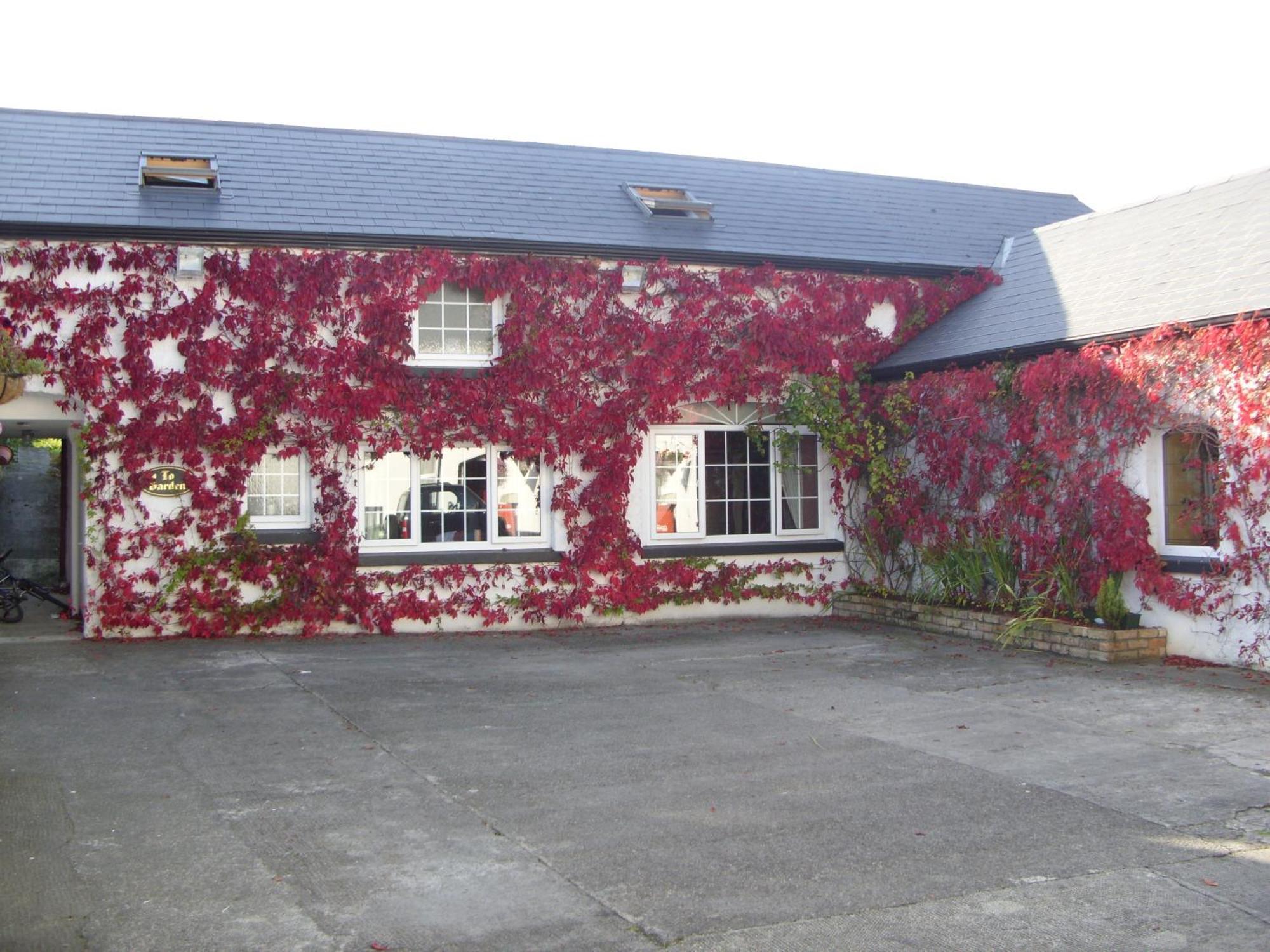 Townsend House Guest House Birr Ngoại thất bức ảnh